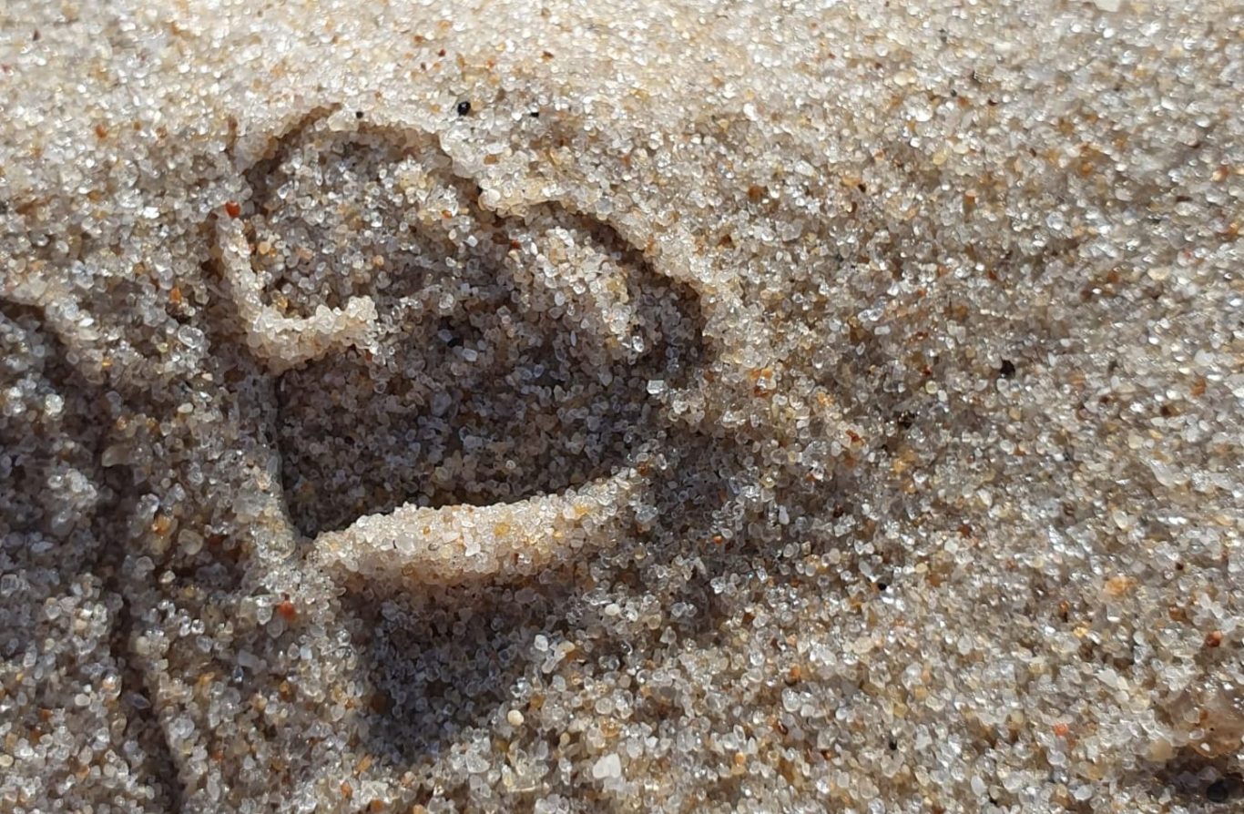 Liilia Link Strandherz Liilia Link Natürlich geformter Sand in Form eines Herzes